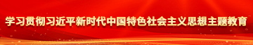 激情91大逼学习贯彻习近平新时代中国特色社会主义思想主题教育