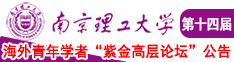 好吊操影院南京理工大学第十四届海外青年学者紫金论坛诚邀海内外英才！